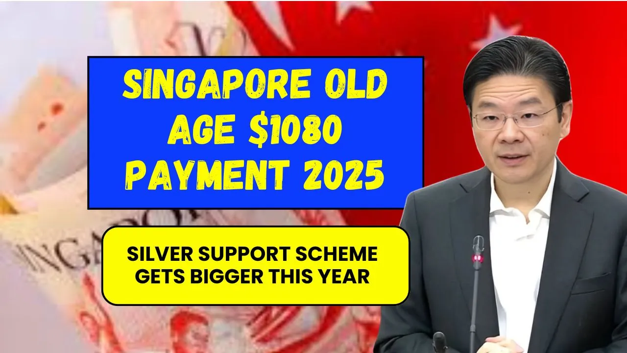Silver Support Scheme in 2025