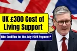 UK £300 Cost of Living Support